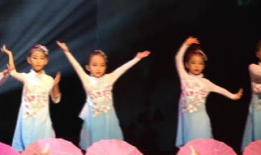 小儿舞蹈视频大全,精选小儿舞蹈视频大全赏析