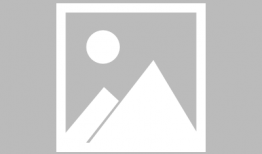 感恩的心手语视频,传递爱与感激的温暖旋律