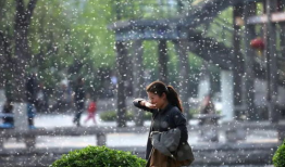 随风视频,揭秘随风视频的魅力与影响力